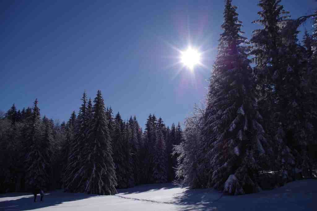 photo neige sapins montagne